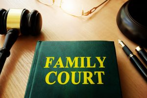 Family Court book