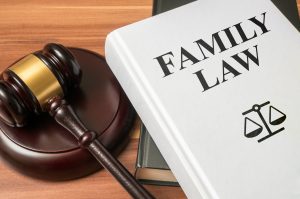 Family law binder with gavel